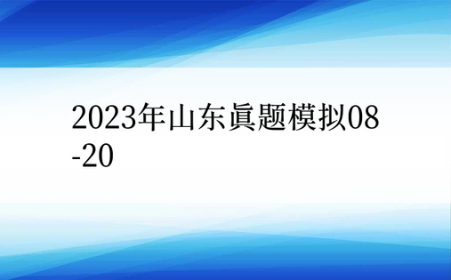 2023年山东真题模拟08-20
